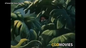 1.9K views · 29 reactions | Join Phil Collins in this rare glimpse behind the scenes of his 1999 recording sessions for Disney's "Tarzan," where he masterfully performed the entire soundtrack in five languages. Experience the magic of music transcending borders! #PhilCollins #Tarzan #Soundtrack #BehindTheScenes #Disney #Magic ©Tarzan/Walt Disney Pictures | CgoMovies | Facebook