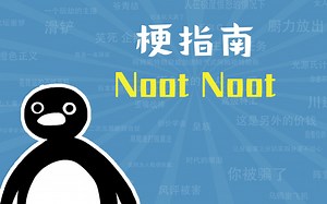 Noot Noot是什么梗【梗指南】_哔哩哔哩_bilibili
