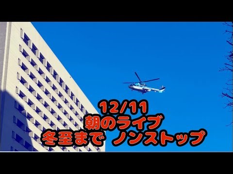 12/11 朝のライブ