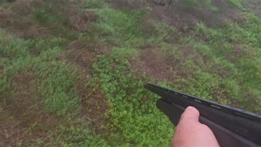 Thermal Hunting Australia on Instagram: "Running the floodplains culling feral pigs. Templeton T2000 12Ga. Aimpoint red dot."