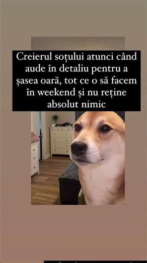 Or fi urechile înfundate? Altfel care OFI explicația?