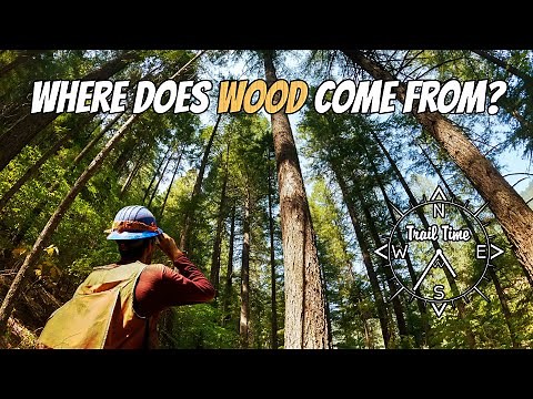 A Day in the Life of a Timber Cruiser | Timber Sale Prep | American Conservation Experience (EPIC)