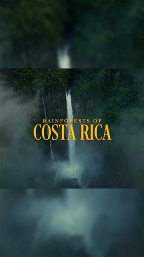 From The Jungles Of Costa Rica