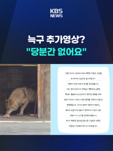 대전 동물원에서 탈출했다가 돌아온 늑대 '늑구'의 최신 영상이 화제였는데 오월드 측에서 추가 공개는 없다는 입장을 내 그 배경에 관심이 쏠리고 있습니다. #늑구#동물원#오월드#위생#그릇#야생성#동물복지#매뉴얼#소독#KBS#KBSNEWS