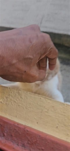 Good Morning Have a Bless Day🙏 | Howie Richards