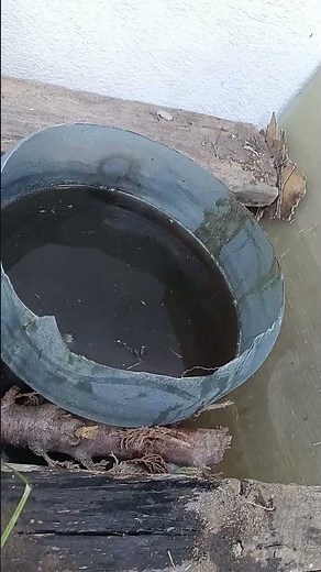 Cómo hacer tu Composta casera y para que sirve
