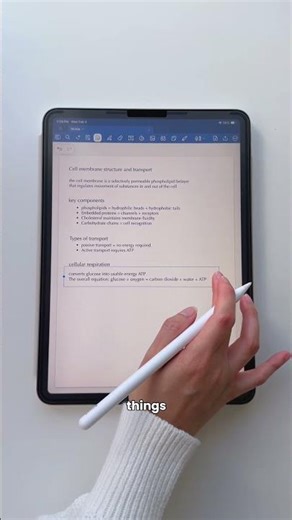 Why Handwriting on iPad Helps You Remember More ✍️📱