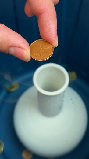 Coin toss trick 🤔 | Magic Hands Creations