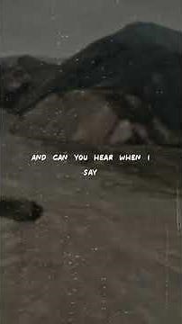 birdy - shelter #lyrics