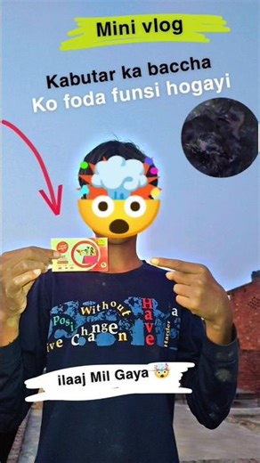 KABUTAR ka baccha ko foda funsi hogayi hai 🤯 #official #pigeon #subscribe #short #viral