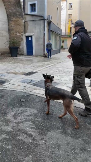 Je ne le laisse JAMAIS libre ?!