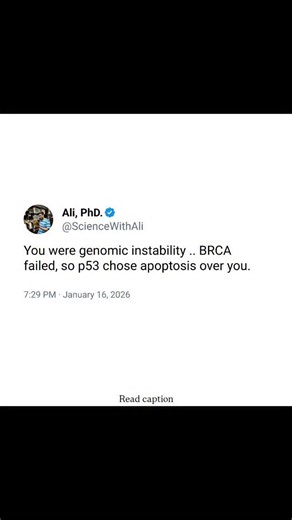 Ali -PhD || PU 🇮🇳 on Instagram: "The post refers to key mechanisms that protect cells from becoming cancerous by maintaining genomic stability. BRCA genes (BRCA1 and BRCA2) play a crucial role in repairing double-strand DNA breaks through homologous recombination. When BRCA function fails, DNA damage accumulates, leading to genomic instability a hallmark of cancer. In response to severe or irreparable damage, the tumor suppressor protein p53 acts as a cellular gatekeeper. It can pause the cell