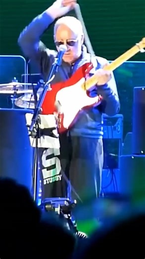 Pete Townshend Guitar Malfunction - “The Show Must Go On” series #fyp #shorts #petetownshend #rock