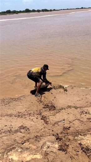 Rough n' Ready Adventures: The One That Almost Got Away