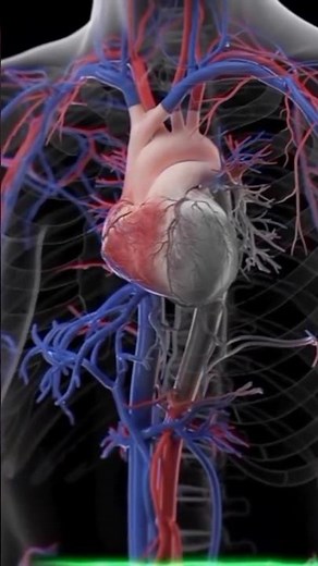 WhAt Happens During a Heart Attack ? ||3D Medical Explain