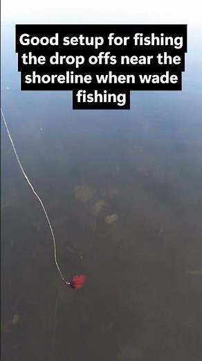 Fall Season Fly Fishing for ADIRONDACK LANDLOCKED SALMON in lakes #flyfishing #fishing #adirondacks