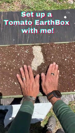 Setting up a tomato EarthBox! #EarthBox #gardening #florida