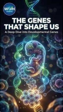 Developmental Genes Explained 🔥 | HOX, Segmentation & Signaling