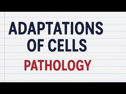 Adaptations of Cells – Pathology | Cellular Response to Stress