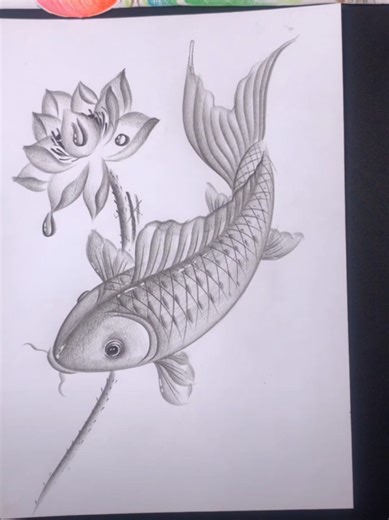 How To Draw a Realistic Fish with Pencil