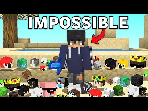 Why I Collected The RAREST Heads in this Minecraft SMP...