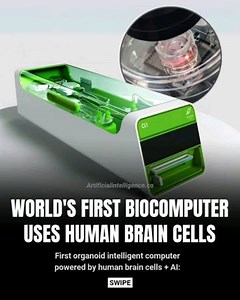 Ai / Artificial Intelligence on Instagram: "The first organoid intelligent computer, powered by human brain cells and AI, advances biocomputing. Brainoware and Neuroplatform use brain organoids for energy-efficient tasks like speech recognition, leveraging neural plasticity and AI. Pioneering low-power tech, it’s a step toward biological computing with ethical debates ongoing."