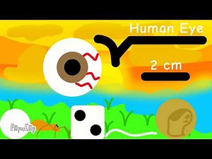 Universe Size Comparison Remastered