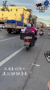 267K views · 3.9K reactions | #黑豪家族 貓貓列車 你遇過嗎? 爆料找黑豪 生活一定好 ↓投稿新聞題材↓加入 黑色豪門企業 看更多↓ https://t.me/+UaJQJtei_rNmMGU1 看新聞 就搜 #黑色豪門企業 有華人地方就有 #黑色豪門 #黑豪茶行 是 #社會事 #社會觀察家 | 黑色豪門企業 | Facebook