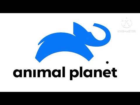 Animal Planet Logo Remake