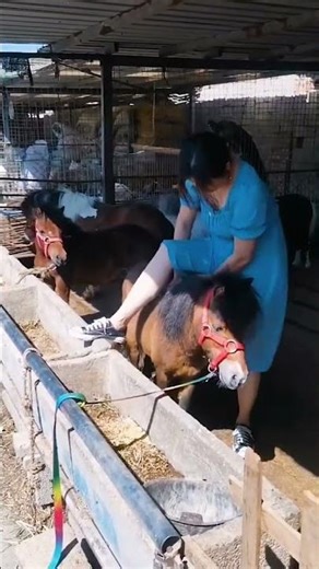 Be yourself and enjoy what you have, the work you are doing