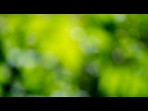 Maximize the Influence of Biomaterials in Tissue Engineering