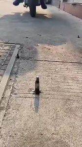 Amazing inventions and gadgets of 2023 | MBautisters