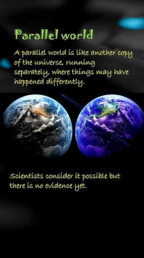 Parallel world
