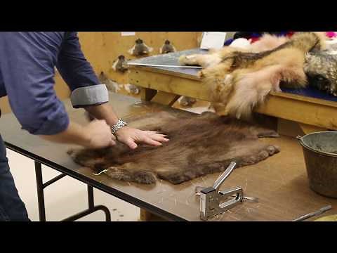 Glacier Wear Stretching Video