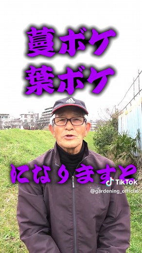 枝豆栽培のための土作りの心得