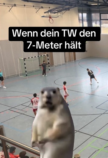 Das Gefühl, wenn die ganze Halle ausrastet... #handball #goalkeeper #handballgame #pov