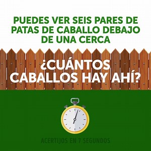 ¡Acertijos para probar tu lógica! | Genial