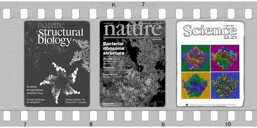 Co-translational Protein Targeting, Processing, and Folding