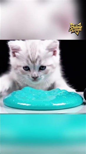 Kitten vs Slime! Who Wins #asmr #slime #SlimeKitten