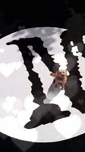 26K views · 18 reactions | Ben Brookes has Soul! ✊ MayfieldHQ are in...