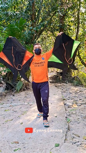 Let's fly these green and red cotek blolong kites