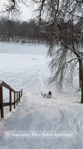 Brauciet baudīt ziemas priekus! | Viesu nams/ Farm "Baltās Anemones"