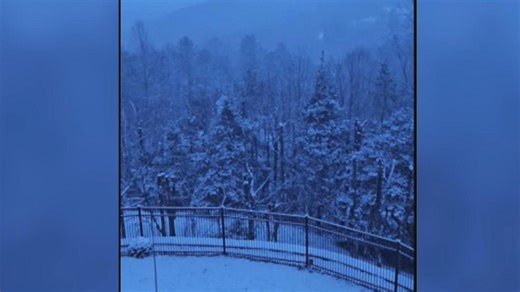 Snow in Mineral Bluff, Georgia