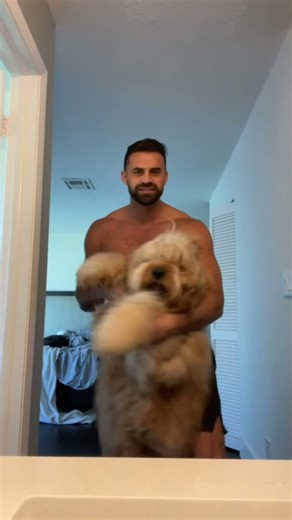 Giant dancing dog #shorts #dog