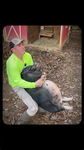 They can’t for a reason 😭 #hopecore #hopeless #funny