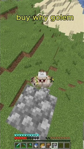 Why Minecraft golem #shorts