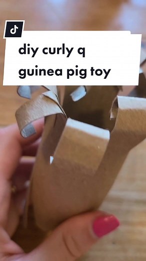 DIY guinea pig toy with curls - yes, PLAIN cardboard is OK for guinea pigs to nibble on #diy #guineapig