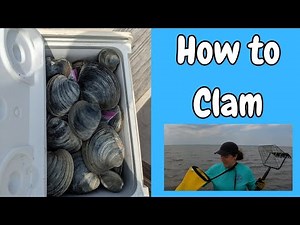 Clamming in Delaware: A Complete How-To Guide