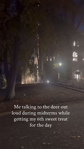 Lehigh Engineers on Reels