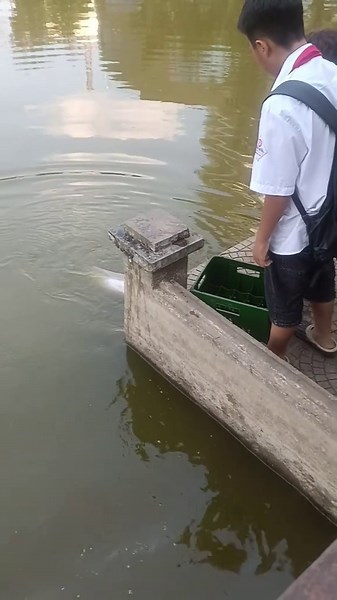 Câu Cá To và Cái Kết Bất Ngờ